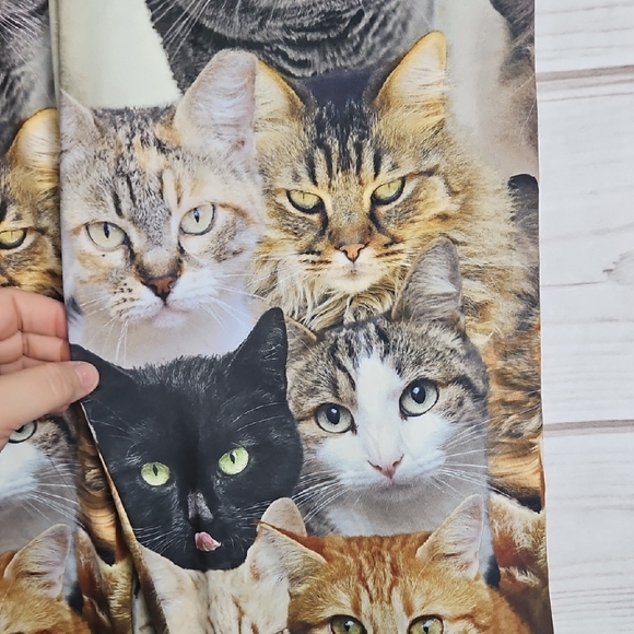 Brief Insanity You Had Me At Meow Cat Lover's Delight Pajama Pants Small - Picture 12 of 13